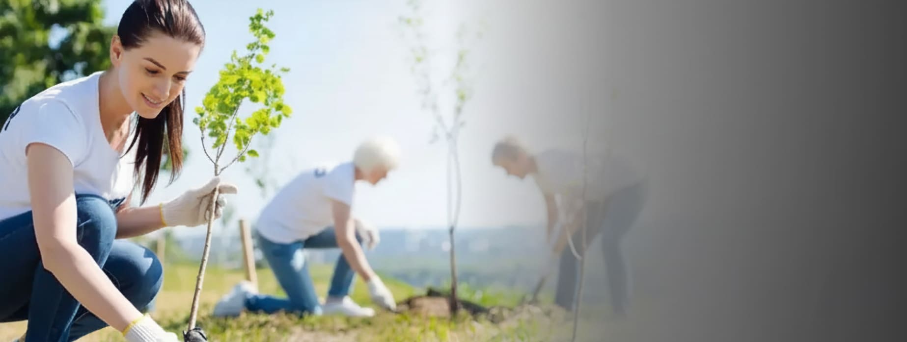 אחריות תאגידית